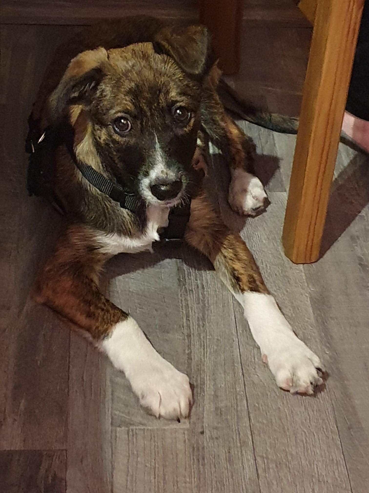 Hermine – Bild 2