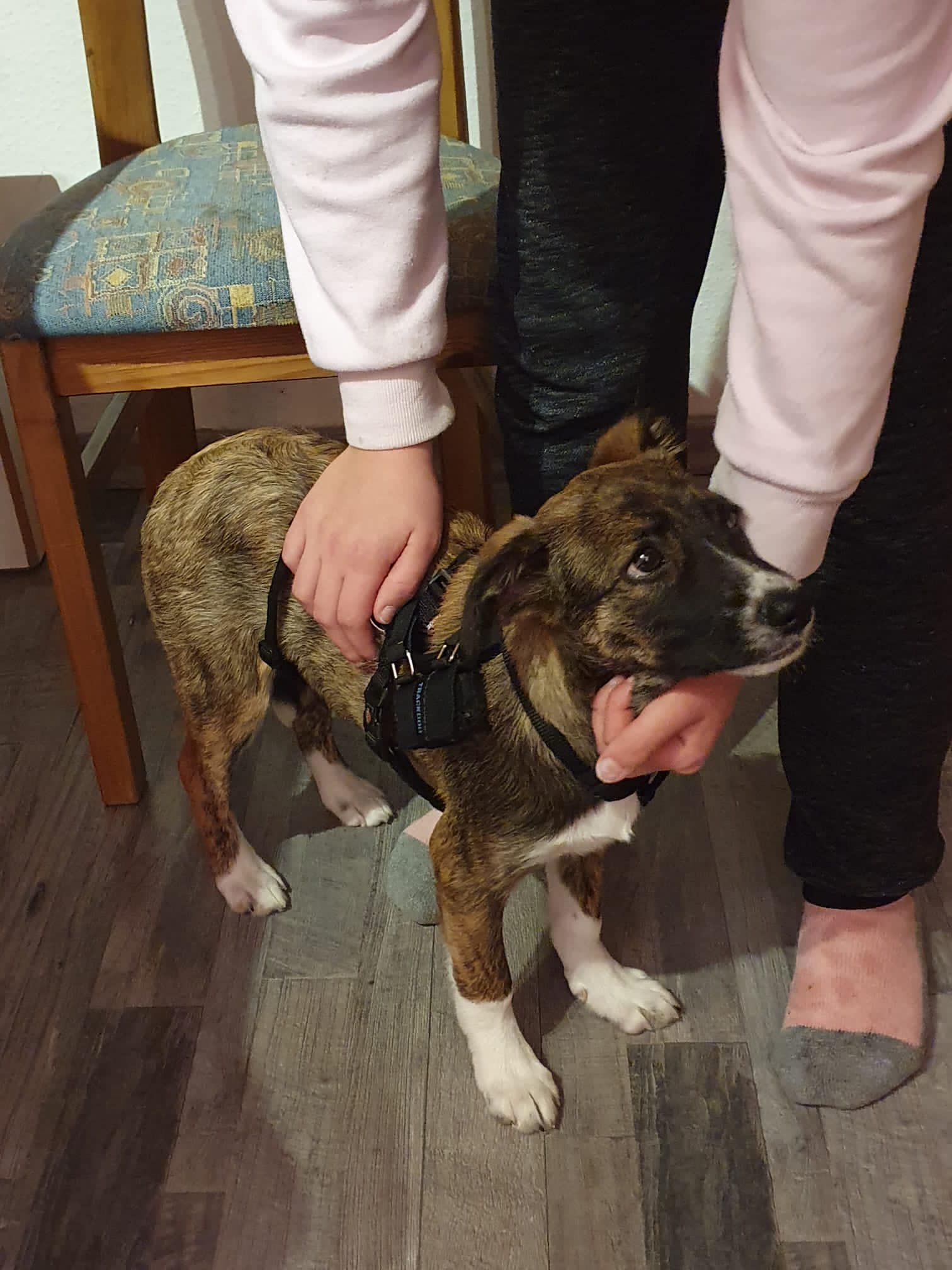 Hermine – Bild 3