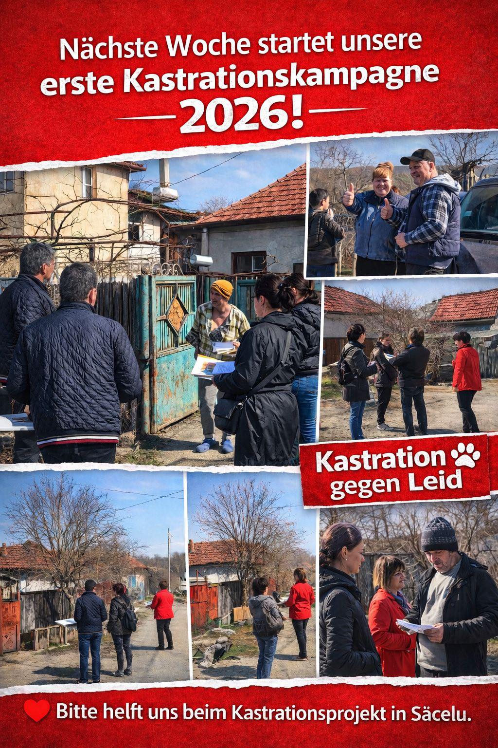 Nächste Woche starten wir unsere erste Kastrationskampagne für dieses Jahr!