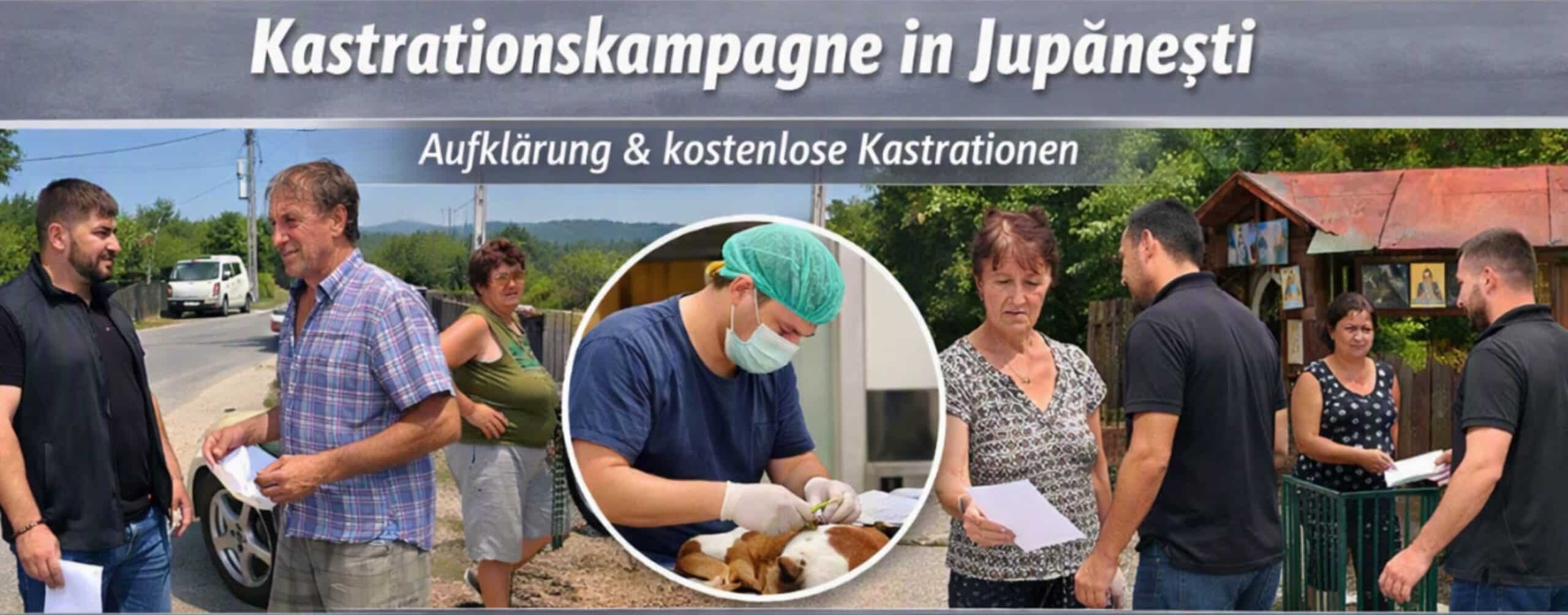 Start unserer 6. Kastrationskampagne in diesem Jahr